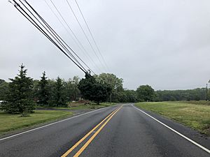 2018-05-27 14 06 16 View south along Monmouth County Route 571 (Rochdale Avenue) at Nurko Road in Roosevelt, Monmouth County, New Jersey