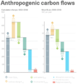 Anthropogenic carbon flows 1850-2018