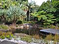 Australian Botanic Garden Mount Annan