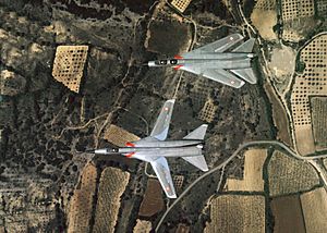 Dassault Mirage G8