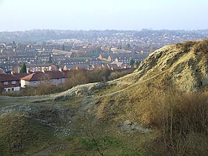 Landscape from Wren's Nest, Dudley, Worcestershire - geograph.org.uk - 636464