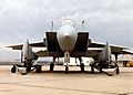 McDonnell Douglas F-15C with the conformal FAST PACK fuel tanks 060905-F-1234S-017