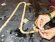 Mimusops elengi, making garland