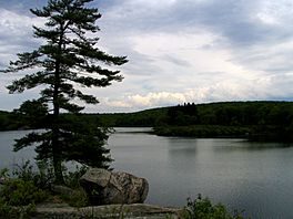 Pine Meadow Lake.jpg