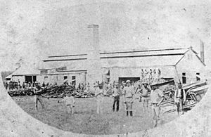 StateLibQld 1 394813 Mill workers infront of Sharon Sugar Mill, Bundaberg, ca. 1890