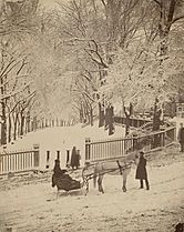 1870s Snow BostonCommon JJHawes MFABoston