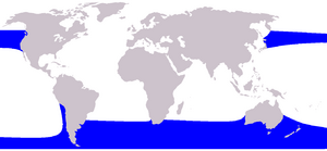 Cetacea range map Right Whale Dolphin.png