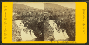 Good Rich Falls, Bartlett, N.H, by Pease, N. W. (Nathan W.), 1836-1918 2