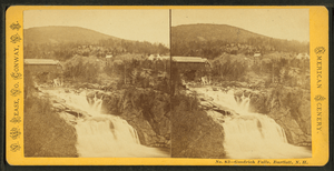 Good Rich Falls, Bartlett, N.H, by Pease, N. W. (Nathan W.), 1836-1918 3