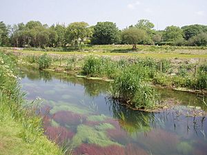 Hayle River near St Erth - geograph.org.uk - 182864