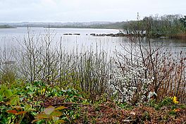 Loch Bhaile Ui Choirc (Lough Ballycuirke) - geograph.org.uk - 1289419.jpg
