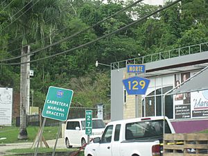 PR-129 Carretera Mariana Bracetti km 27.5 in Lares, Puerto Rico