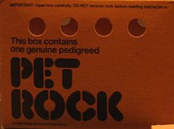 PetRock Box.jpg