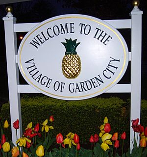 Pineapple - Garden City NY