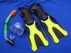 Snorkeling gear