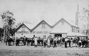StateLibQld 1 123487 Workers and visitors outside the Goombungee Co-op Dairy Coy, Ltd., Goombungee, Queensland, ca. 1905
