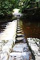 Stepping stones, Tollymore, September 2010 (01)