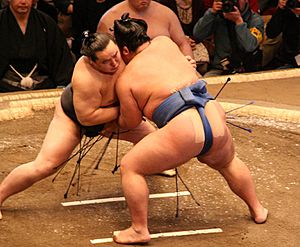 Asashoryu fight Jan08.JPG