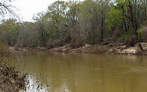 Big Black River at Highway 16 in Madison County, Mississippi