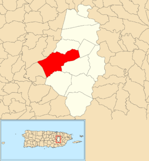 Location of Cañaboncito within the municipality of Caguas shown in red