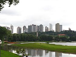 Curitiba From Barigui Park