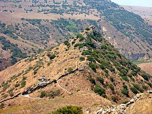 Golan Heights - Gamla view