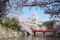 Himeji Castle with cherry blossoms from Himeji Zoo