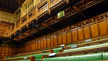 House of Commons (Backbenches) 2007