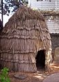 Ohlone hut(replica)