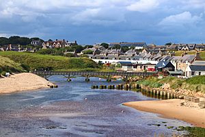 View of Cruden Bay from the estuary.