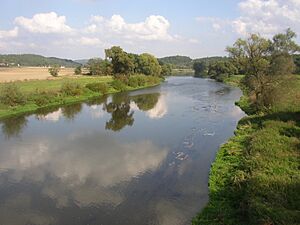 Berounka River CZ from Dolany Bridge 596