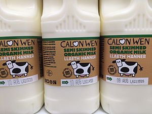 Bottles of Calon Wen semi-skimmed milk