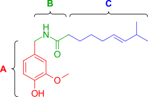 Capsaicin pharmacophore