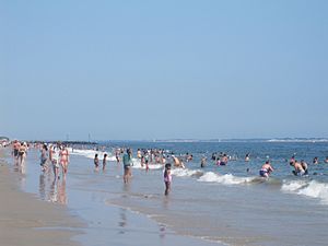 Crowded Brighton Beach on a summer afternoon IMG 1756