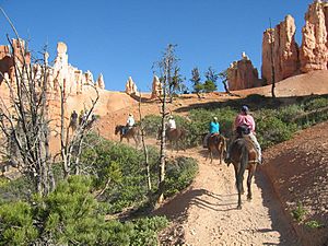Horseriders in Bryce Canyon-NPS photo