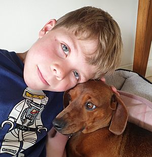 Kid with dachshund pet