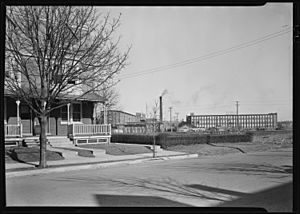 Lancaster, Pennsylvania - Housing. Stehli mills and houses in row inhabited by Stehli workers - rental $30.00 per month. - NARA - 518453