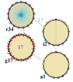 Symmetries of heptadecagon