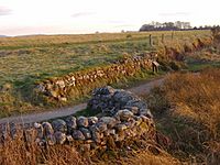 The Well of the Dead, Culloden Moor - geograph.org.uk - 494157