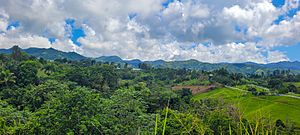 View of Orocovis mountains from Pozas