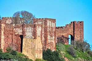Castelo de Silves - Portugal (51848995450)