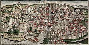Colored woodcut town view of Florence