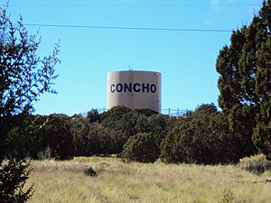 West view of the water tower in the Concho Valley area, as seen along SR 61