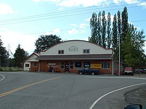 The Curtis Store