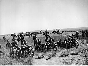 Italian artillery during the Second Italo-Ethiopian War