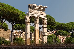 Temple of Venus Genitrix Forum Iulium Rome