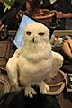 The Making of Harry Potter 29-05-2012 (Hedwig)