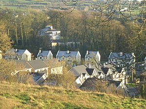 Housing in Ballingarry
