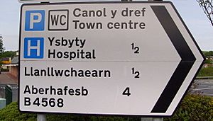 Welsh spelling on road sign, Newtown, Powys - geograph.org.uk - 1319438 (cropped)