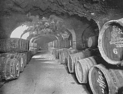 Wine Vaults